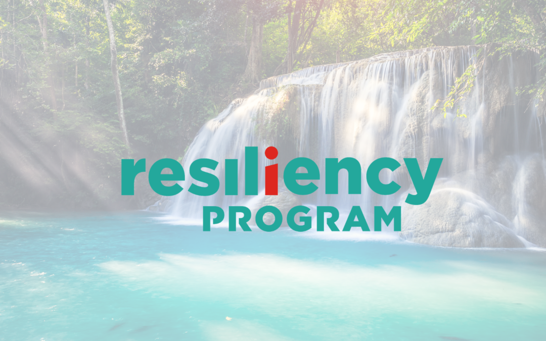 Join the Resiliency Program and Become a Content Provider
